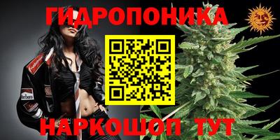 скорость Бузулук