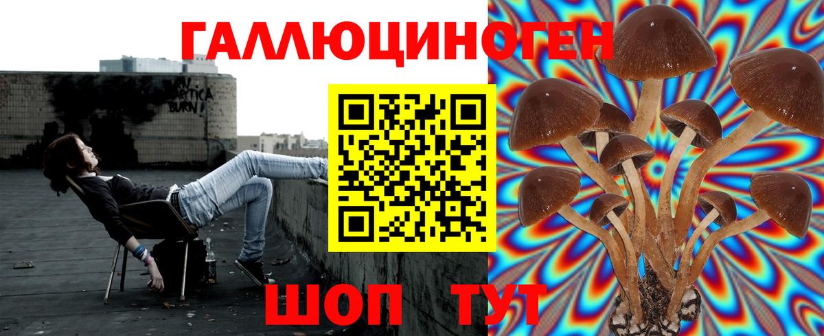 Галлюциногенные грибы мицелий Копейск